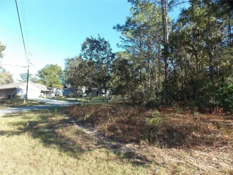 9432 N Cherry Lake Drive Citrus Springs FL 34433