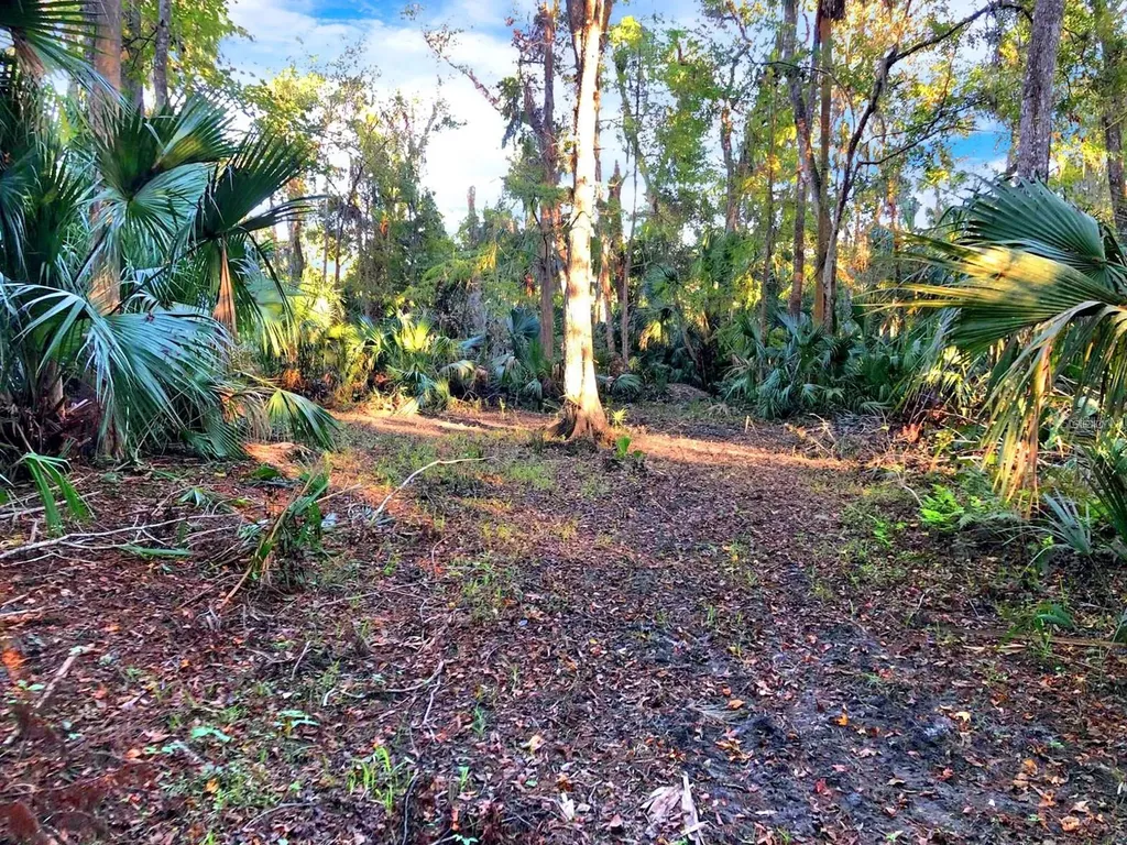 Bronson Road Sorrento FL 32776