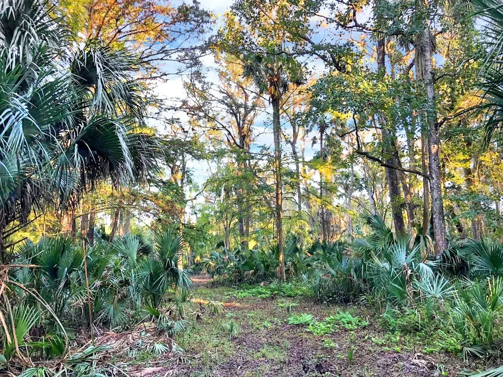 Bronson Road Sorrento FL 32776