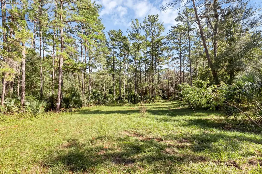 Bronson Road Sorrento FL 32776
