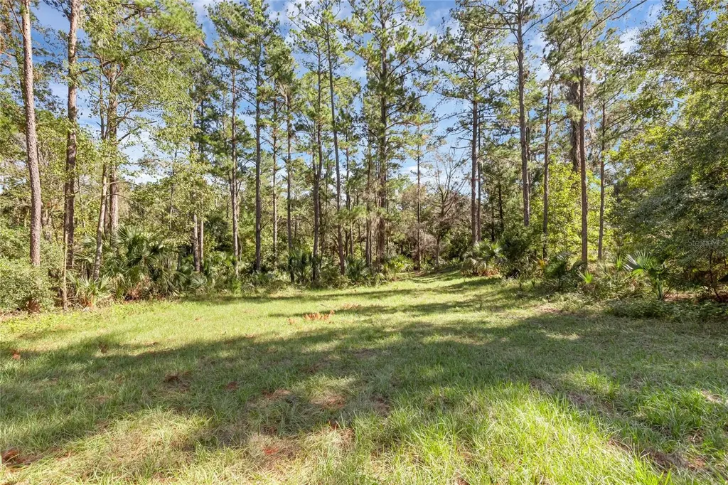 Bronson Road Sorrento FL 32776
