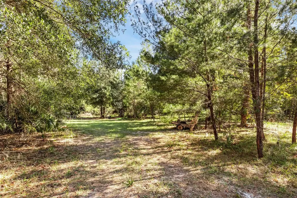 Bronson Road Sorrento FL 32776