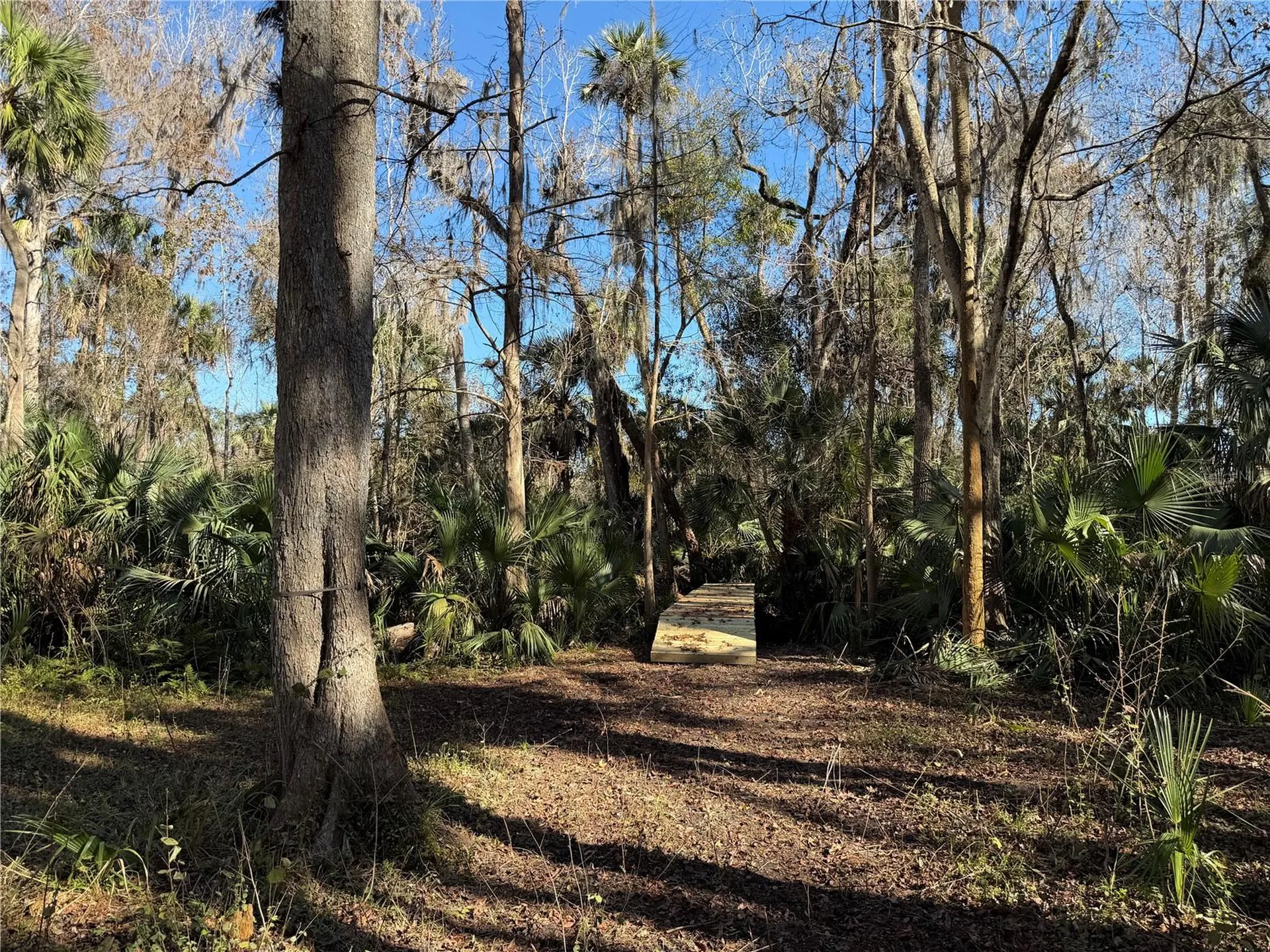Bronson Road Sorrento FL 32776