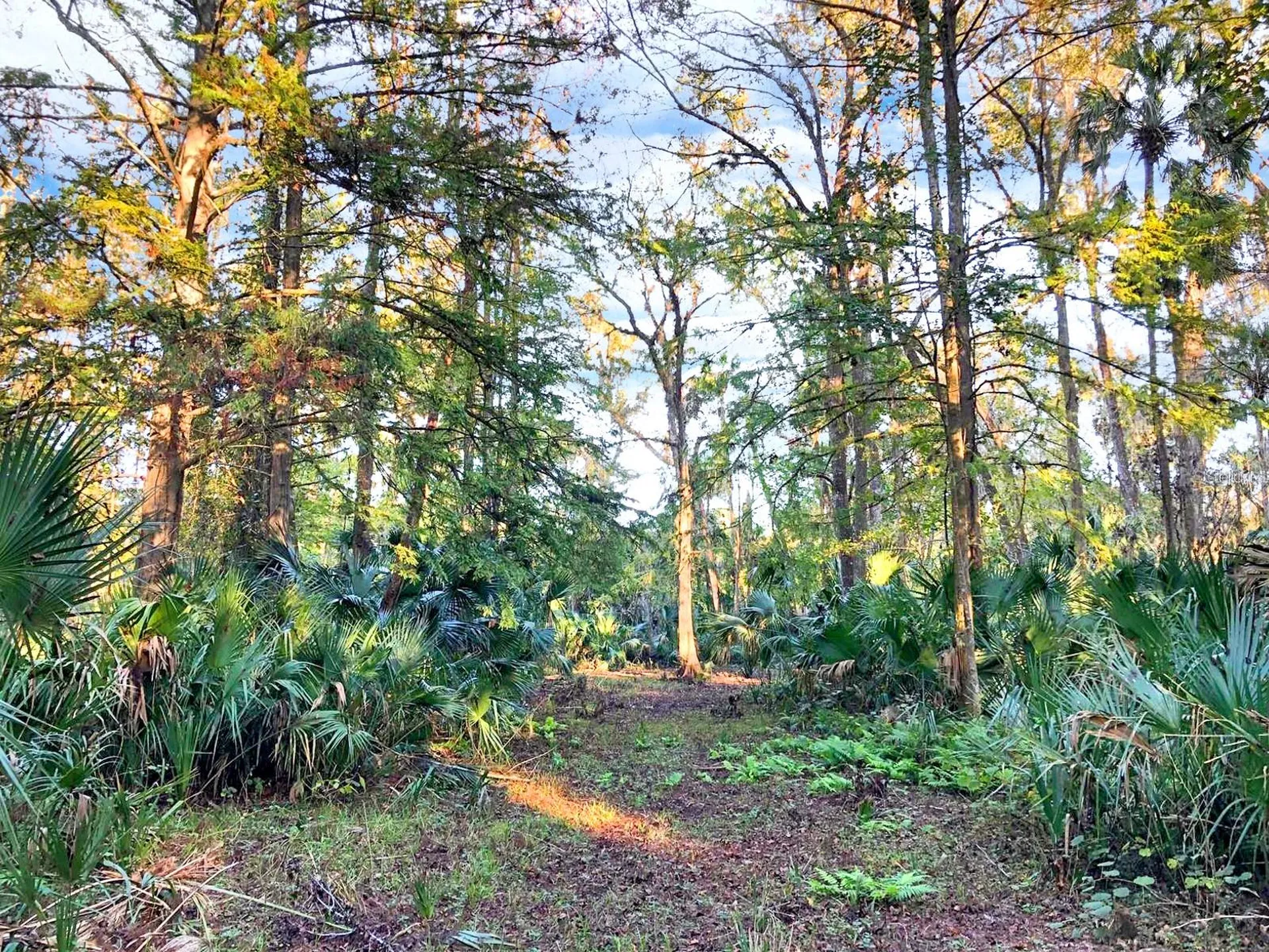 Bronson Road Sorrento FL 32776