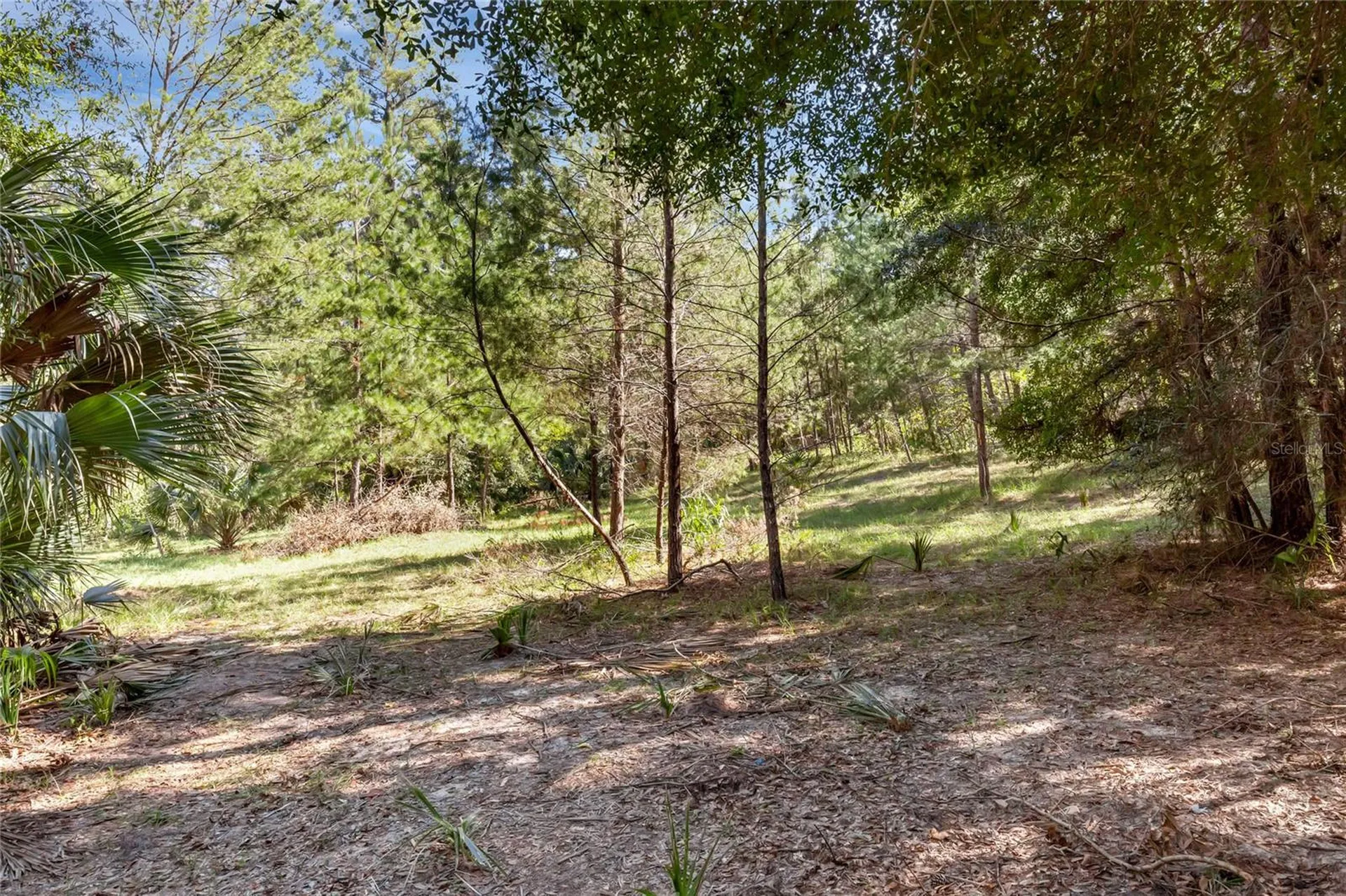 Bronson Road Sorrento FL 32776