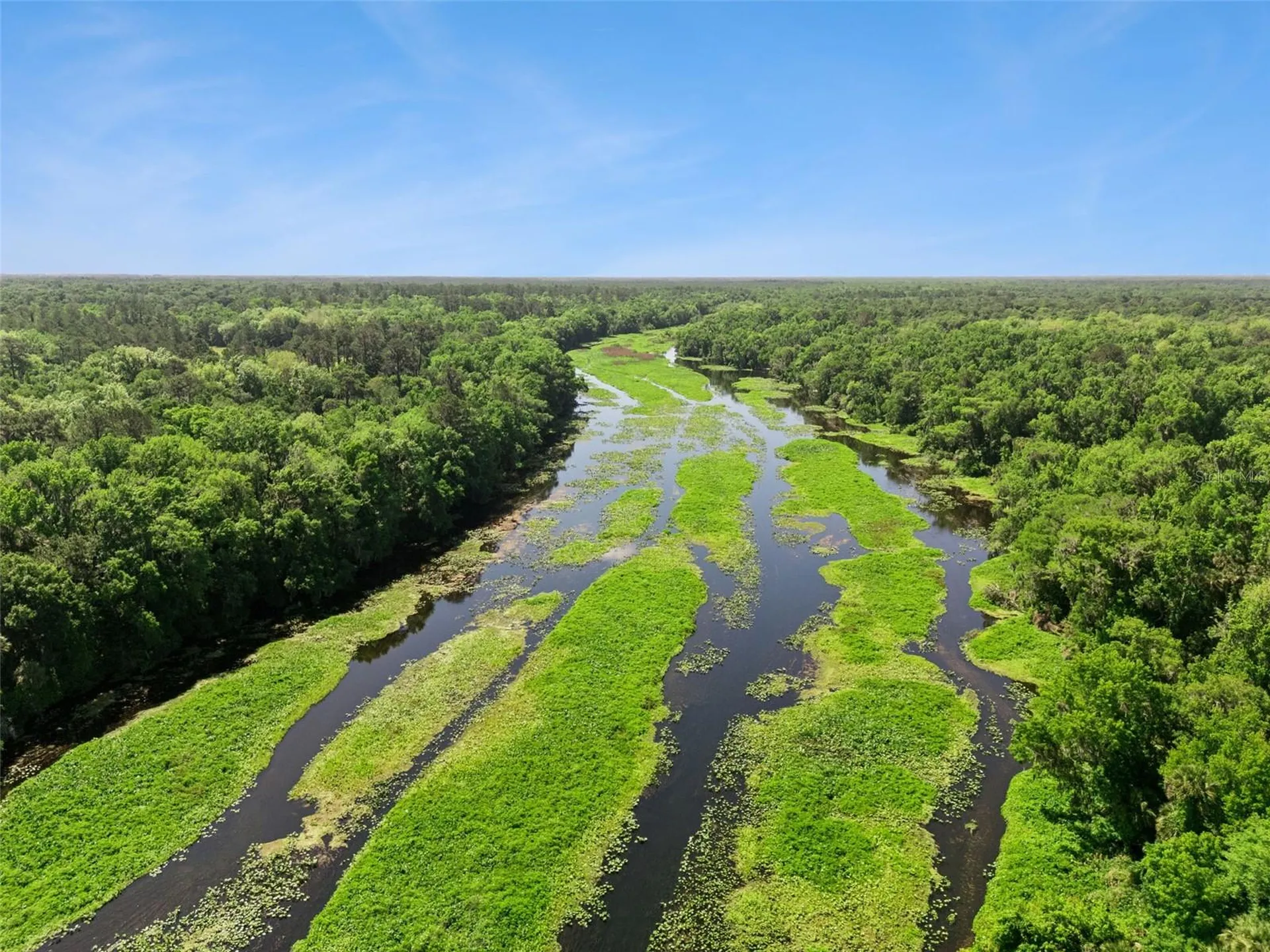Bronson Road Sorrento FL 32776