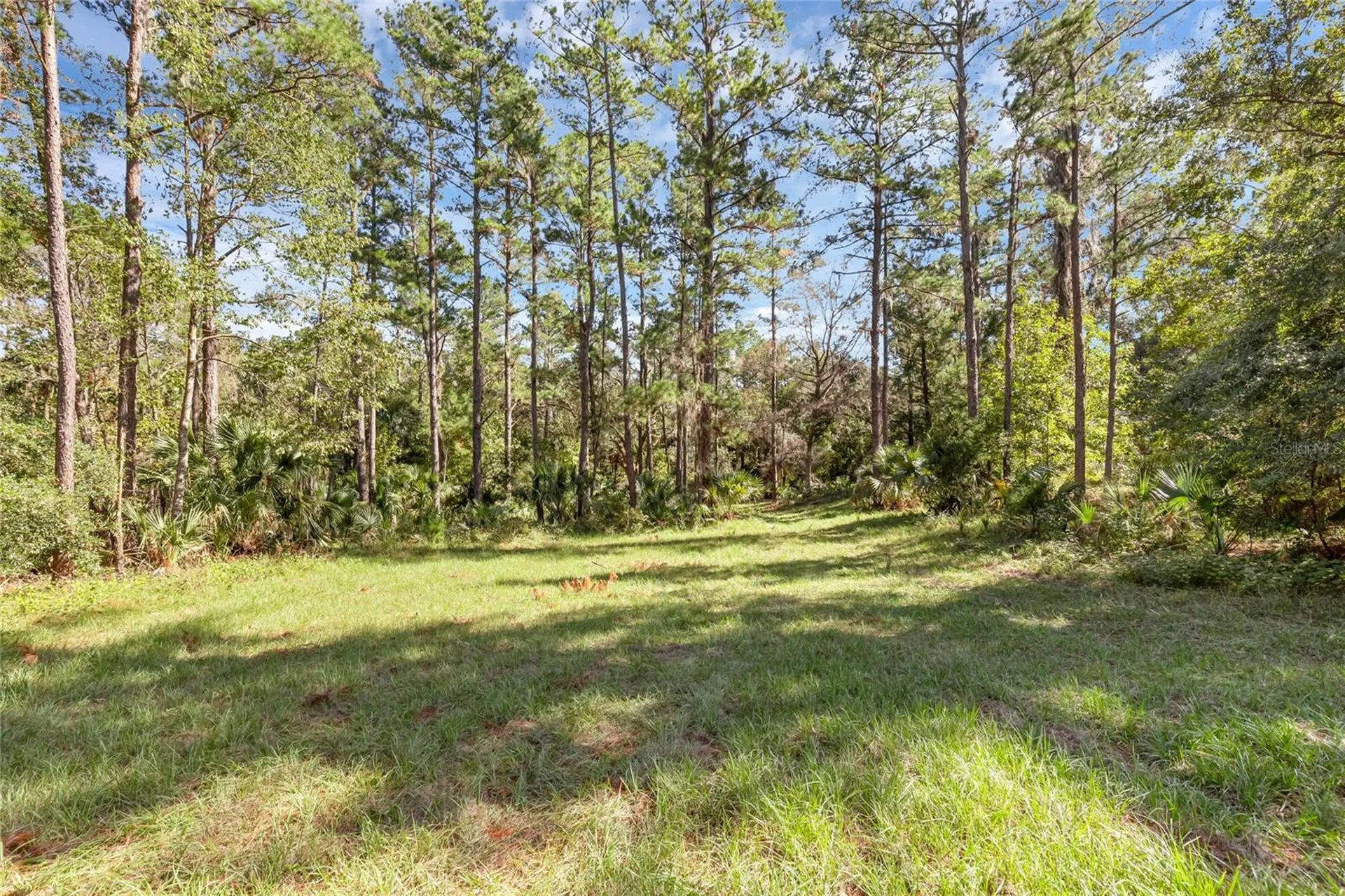 Bronson Road Sorrento FL 32776