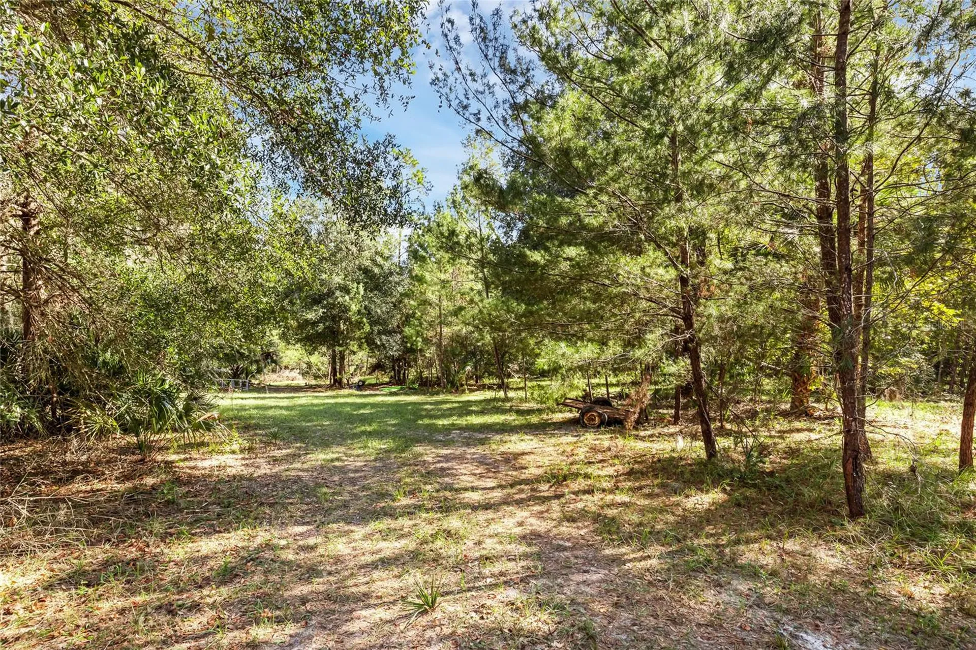 Bronson Road Sorrento FL 32776