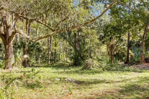Bronson Road Sorrento FL 32776