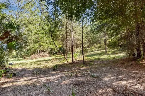 Bronson Road Sorrento FL 32776