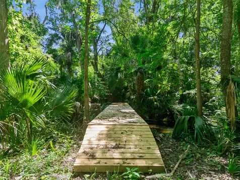 Bronson Road Sorrento FL 32776