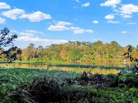 Bronson Road Sorrento FL 32776