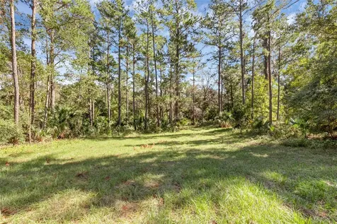 Bronson Road Sorrento FL 32776