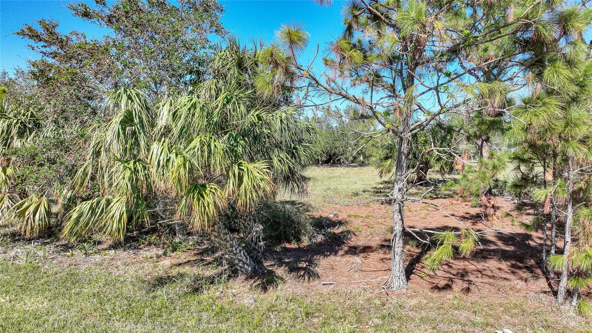 9531 & 9551 Horace Circle Port Charlotte FL 33981