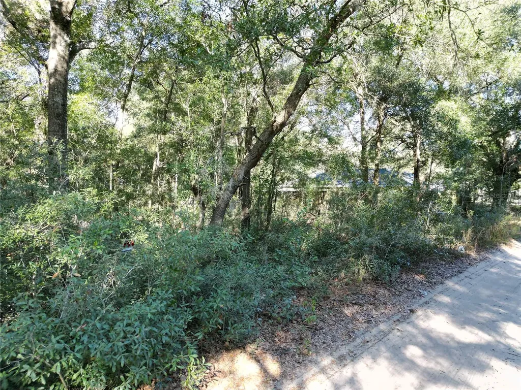 Tbd NW 56th Court Ocala FL 34482