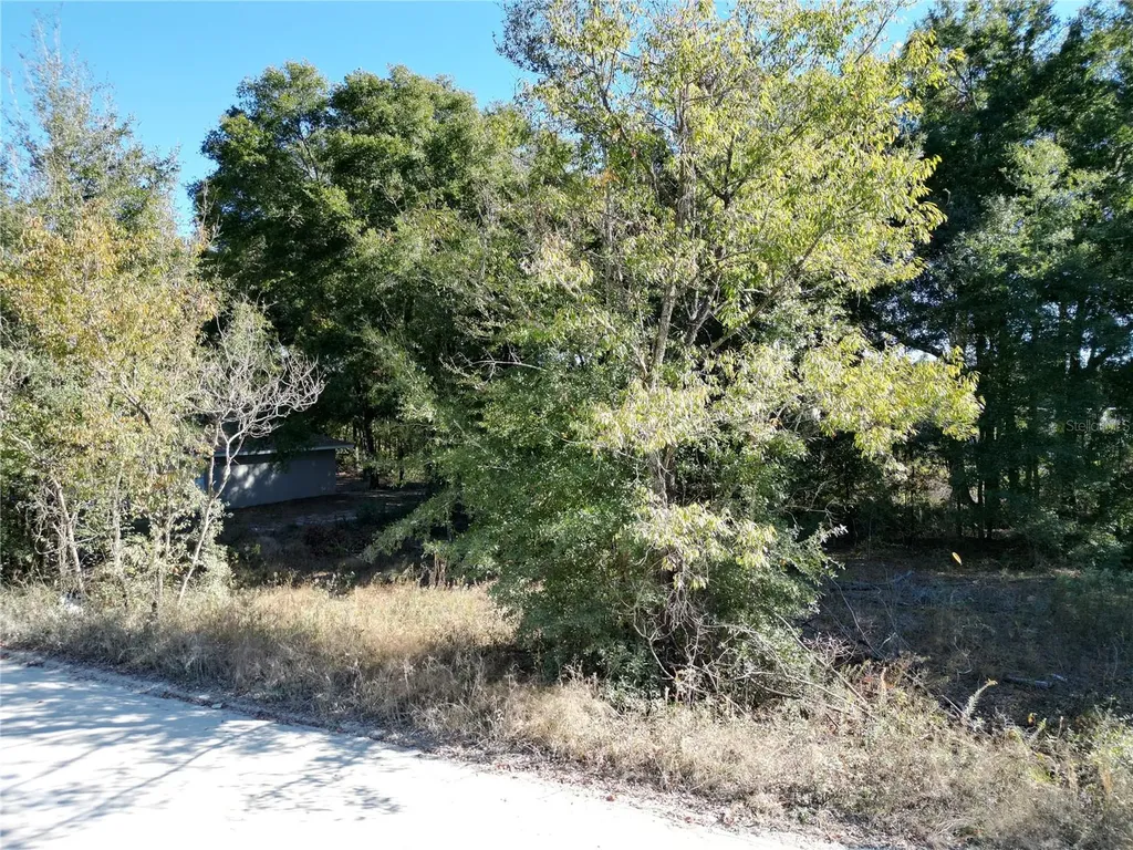 Tbd NW 52nd Avenue Ocala FL 34482