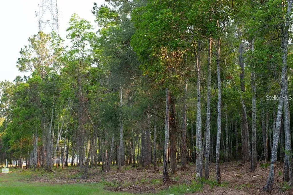 53XX Us Highway 1 N Bunnell FL 32110