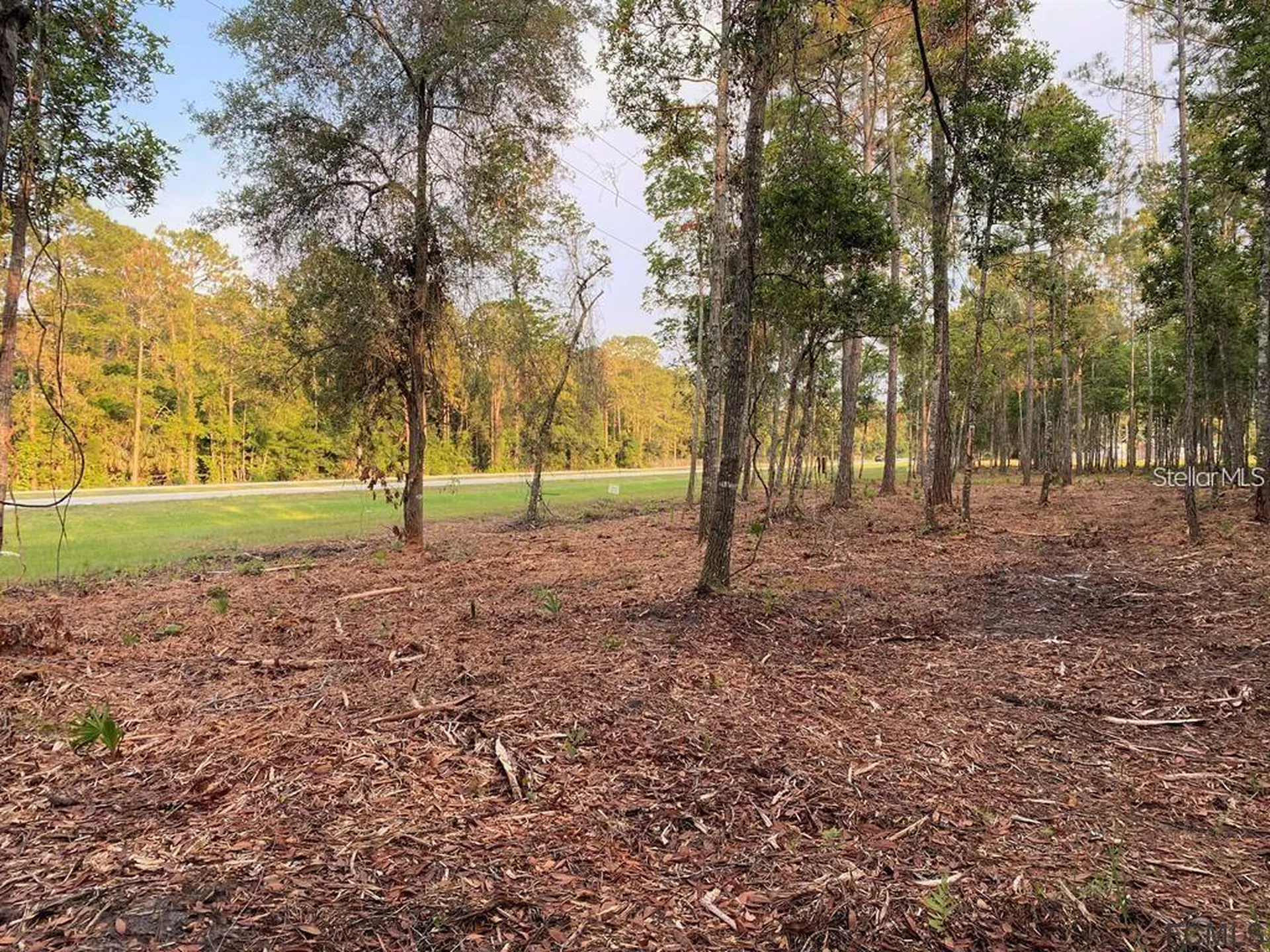 53XX Us Highway 1 N Bunnell FL 32110