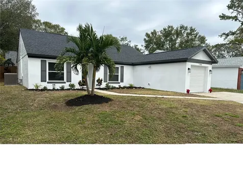 1906 Castle Bay Court Oldsmar FL 34677