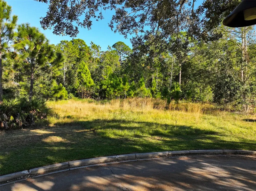 7161 Oak Glen Trail St Cloud FL 34773