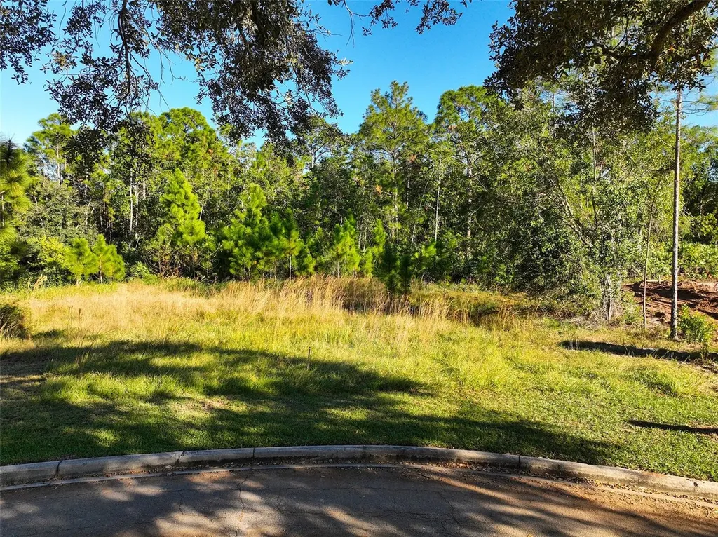 7161 Oak Glen Trail St Cloud FL 34773