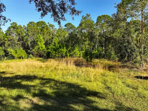 7161 Oak Glen Trail St Cloud FL 34773