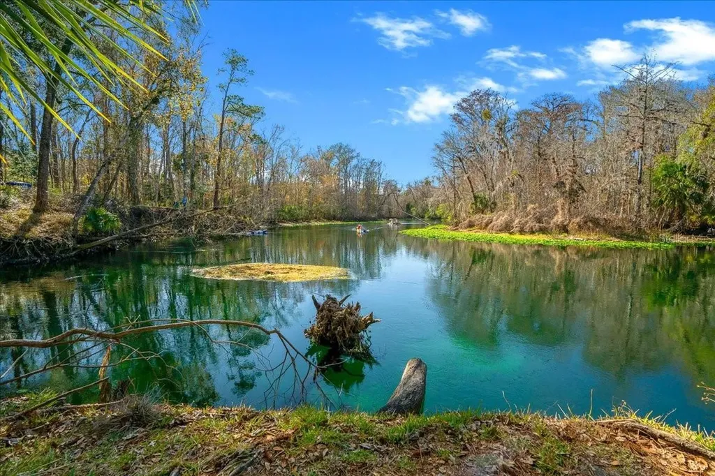 3097 NE 102nd Avenue Road Silver Springs FL 34488
