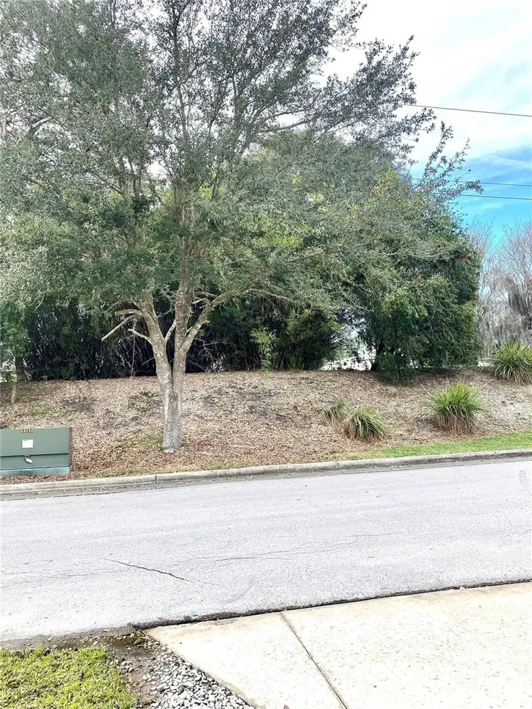 3097 NE 102nd Avenue Road Silver Springs FL 34488