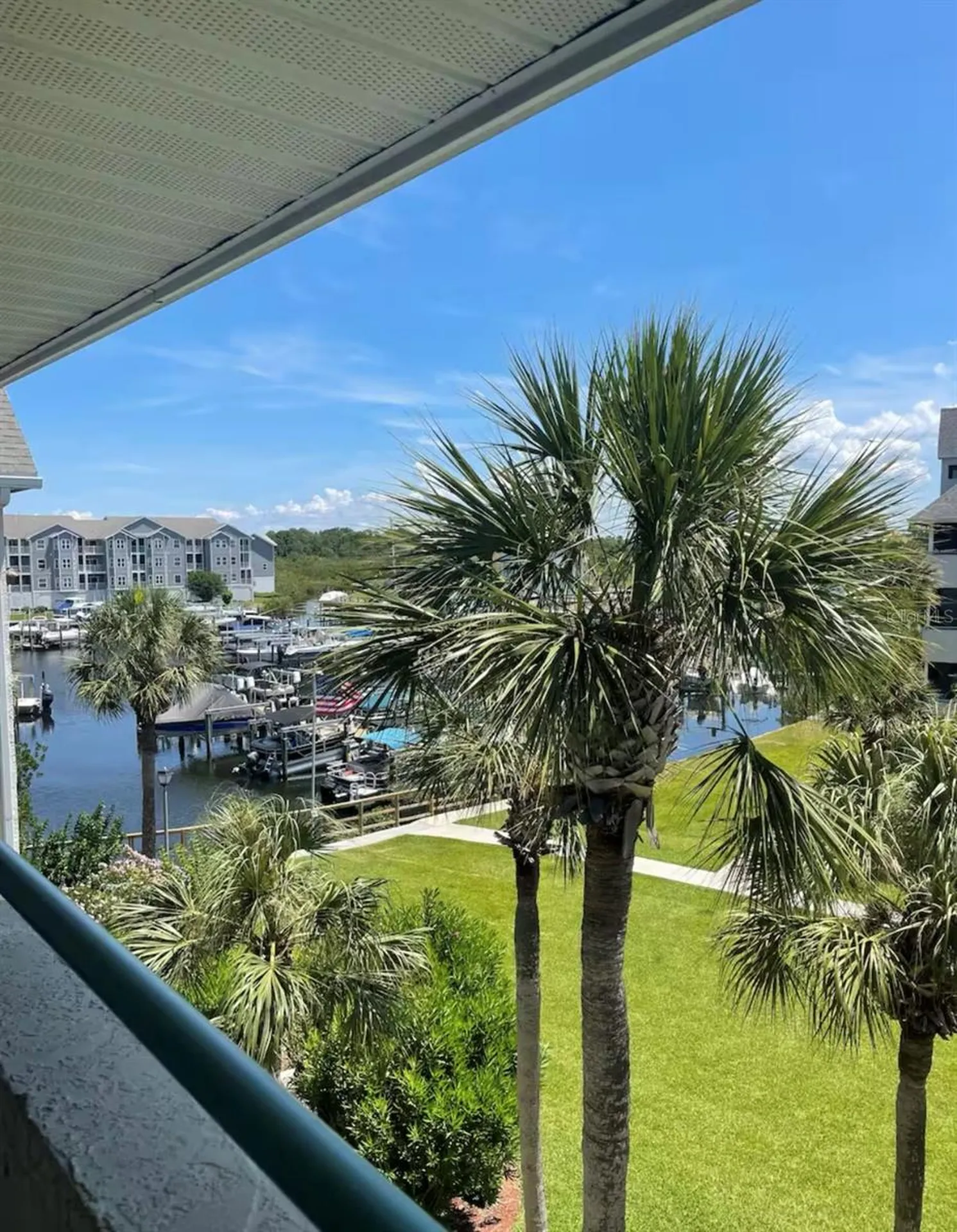 5537 Sea Forest Drive New Port Richey FL 34652
