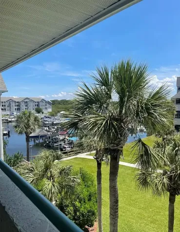 5537 Sea Forest Drive New Port Richey FL 34652