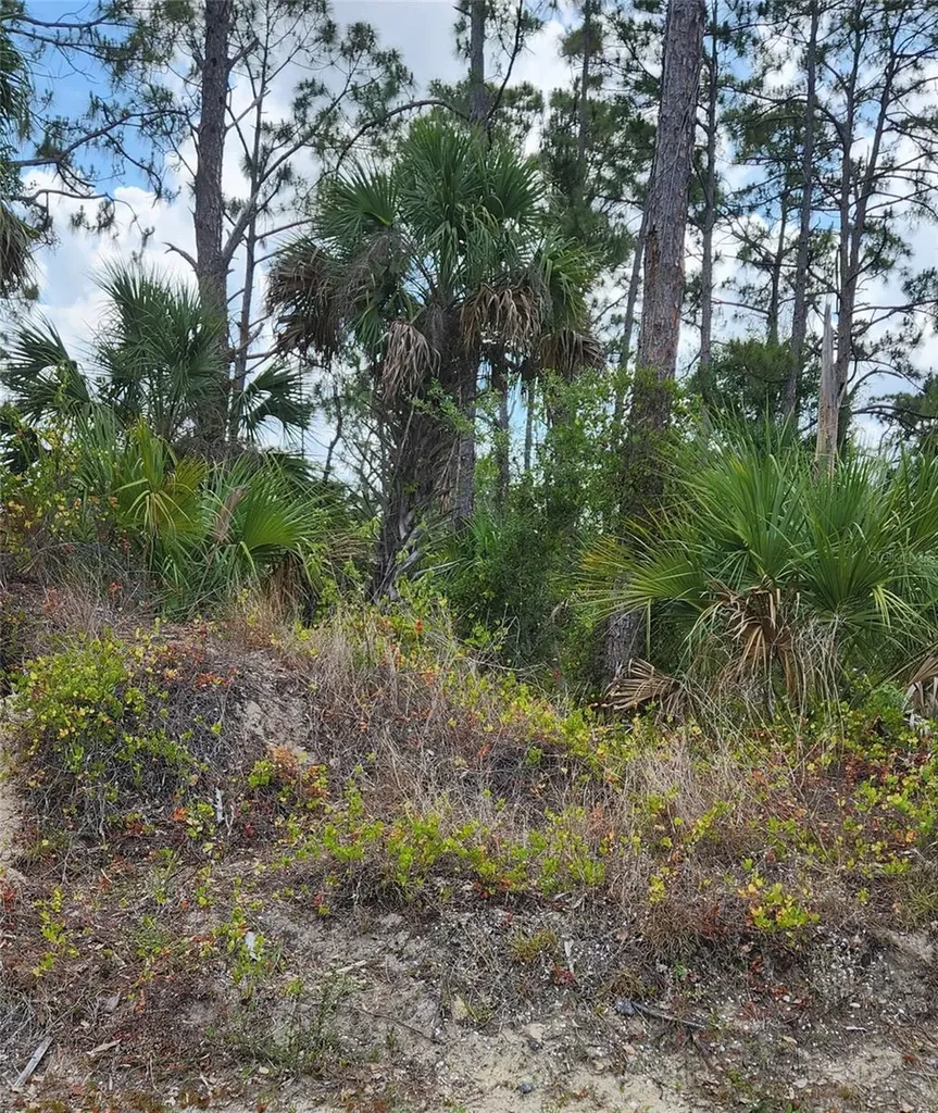 Mcginnis Terrace North Port FL 34286