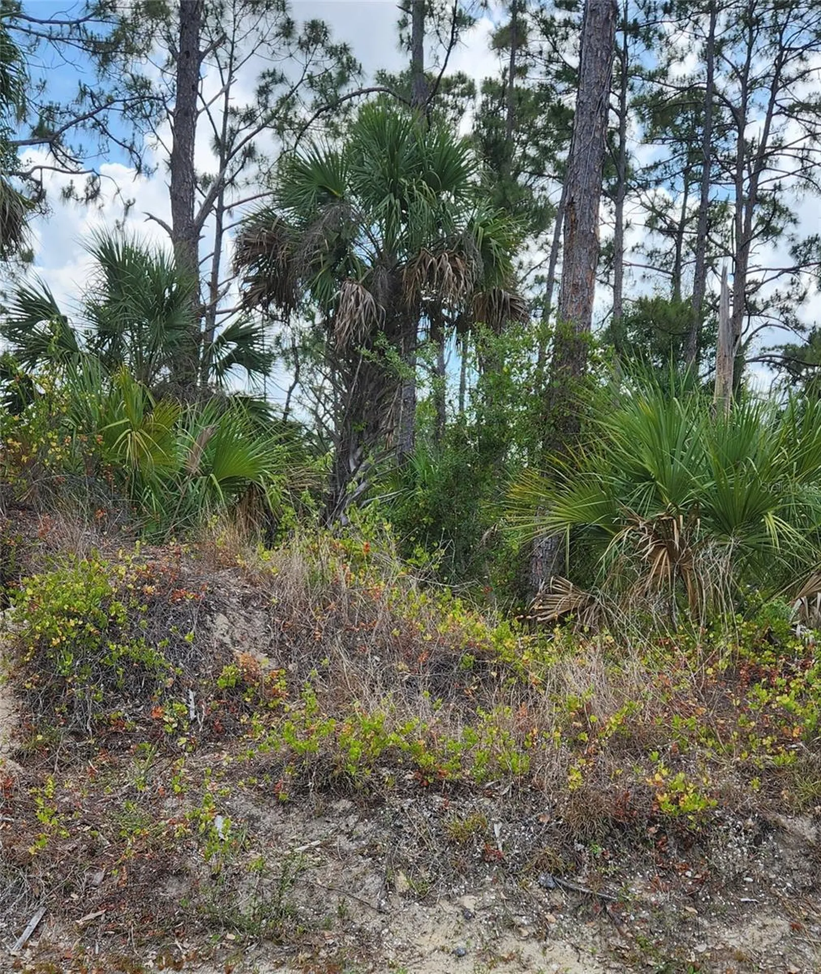 Mcginnis Terrace North Port FL 34286