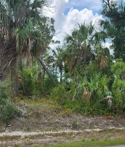 Mcginnis Terrace North Port FL 34286