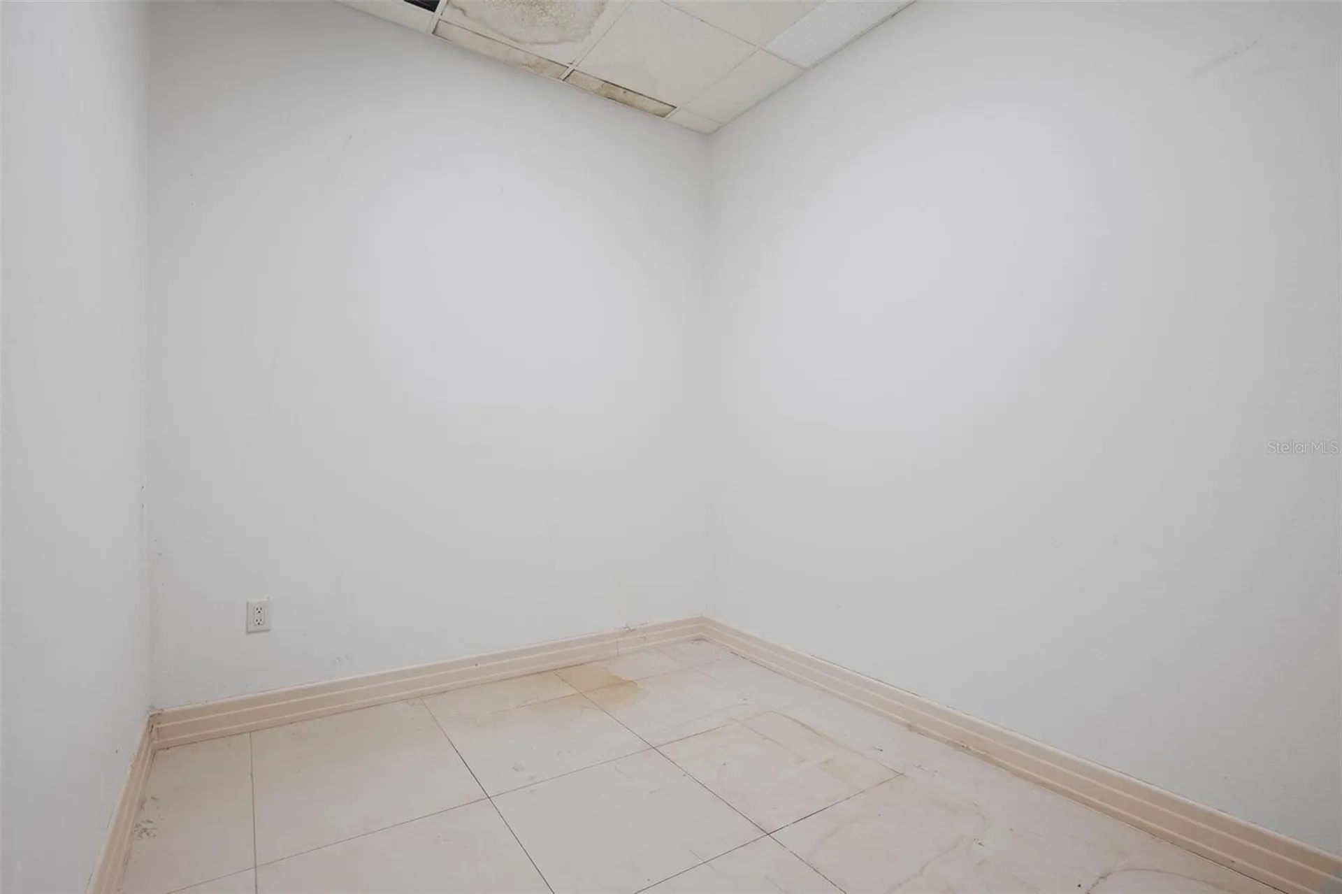 3730 Tampa Road Palm Harbor FL 34684