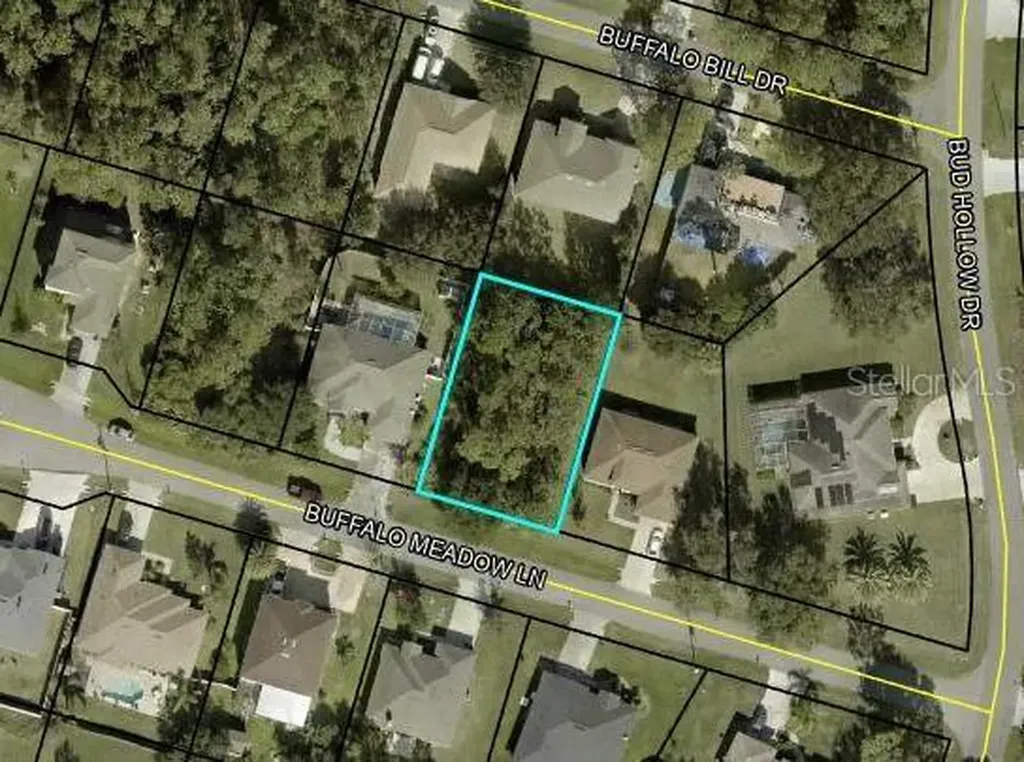 6 Buffalo Meadow Lane Palm Coast FL 32137