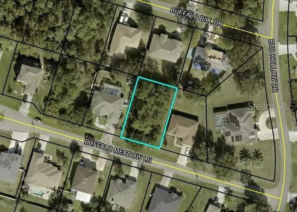 6 Buffalo Meadow Lane Palm Coast FL 32137