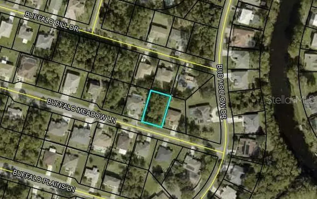 6 Buffalo Meadow Lane Palm Coast FL 32137