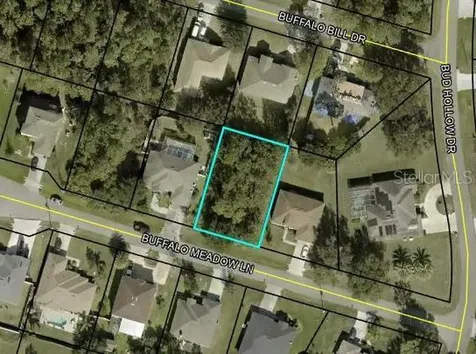 6 Buffalo Meadow Lane Palm Coast FL 32137
