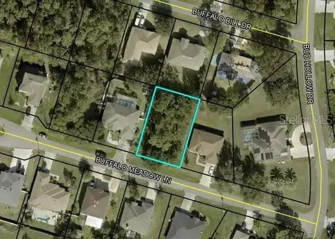 6 Buffalo Meadow Lane Palm Coast FL 32137