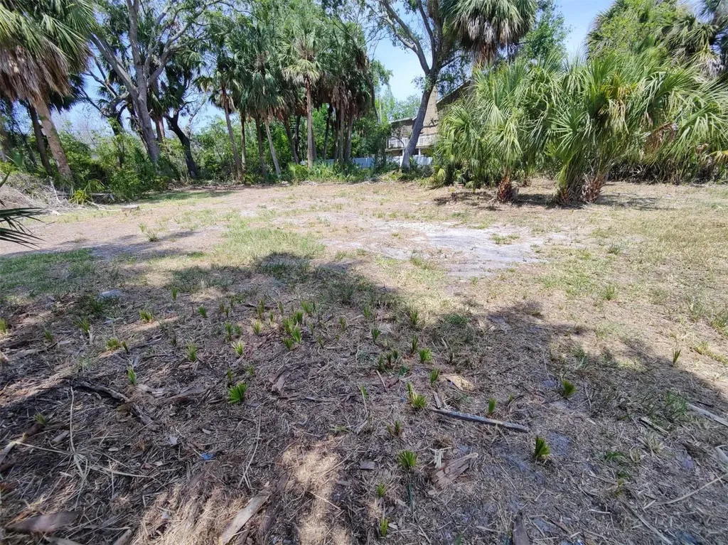 174 Avery Avenue Crystal Beach FL 34681
