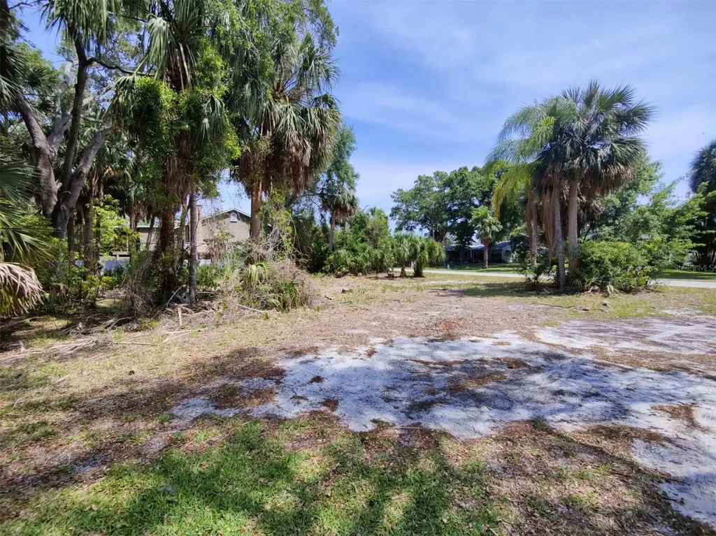 174 Avery Avenue Crystal Beach FL 34681
