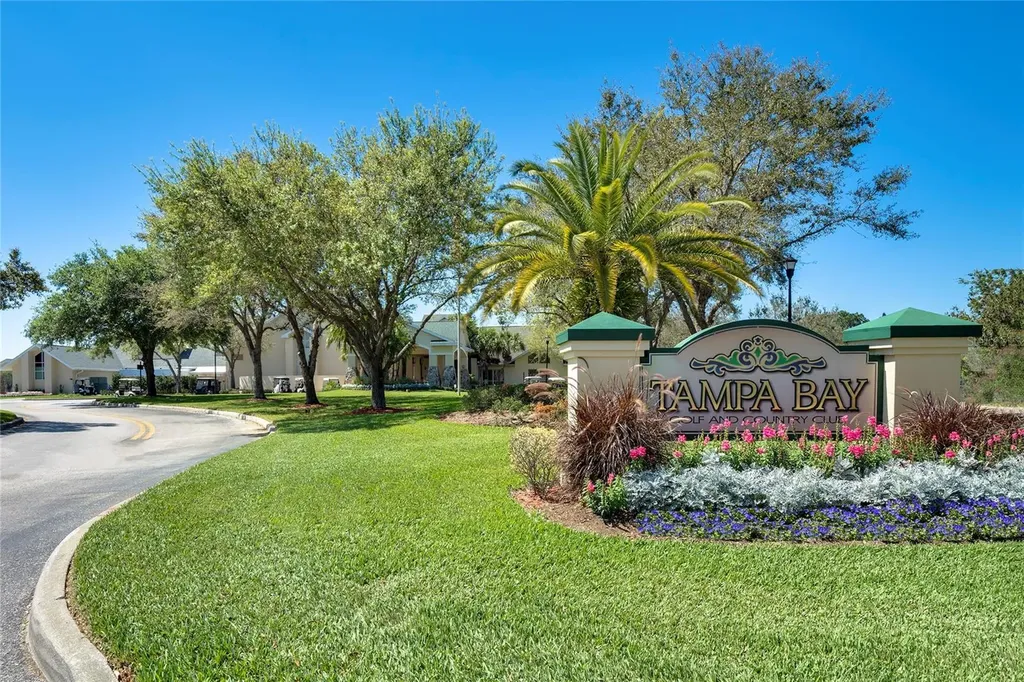 10230 Old Tampa Bay Drive San Antonio FL 33576