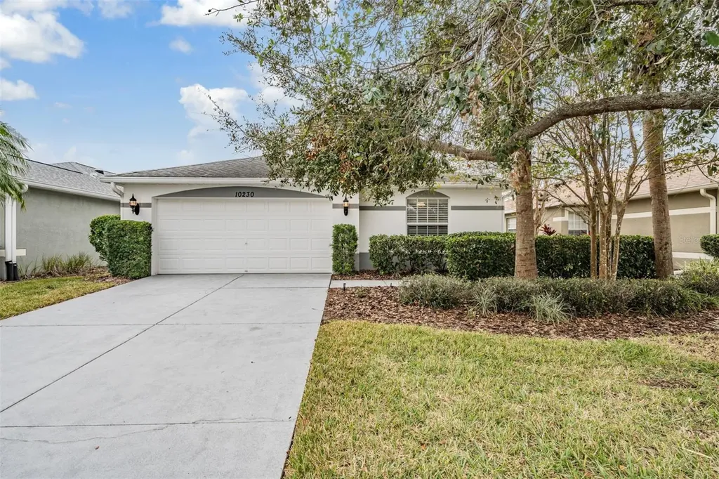 10230 Old Tampa Bay Drive San Antonio FL 33576