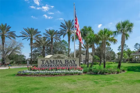 10230 Old Tampa Bay Drive San Antonio FL 33576