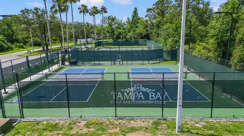 10230 Old Tampa Bay Drive San Antonio FL 33576