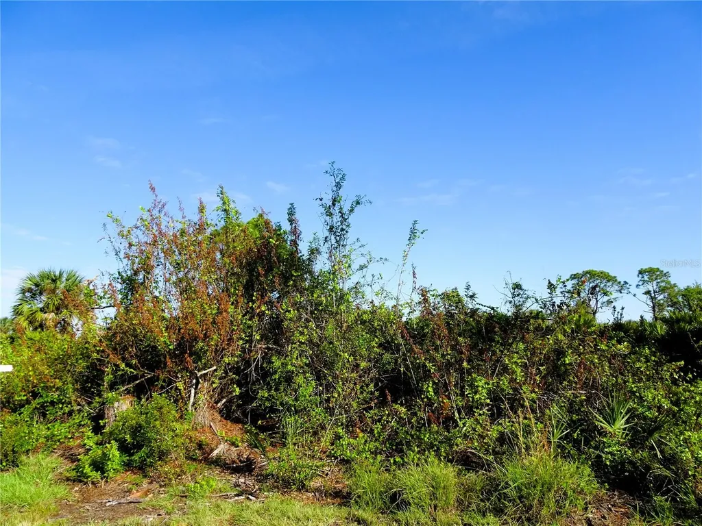12242 Wagner Lane Port Charlotte FL 33981