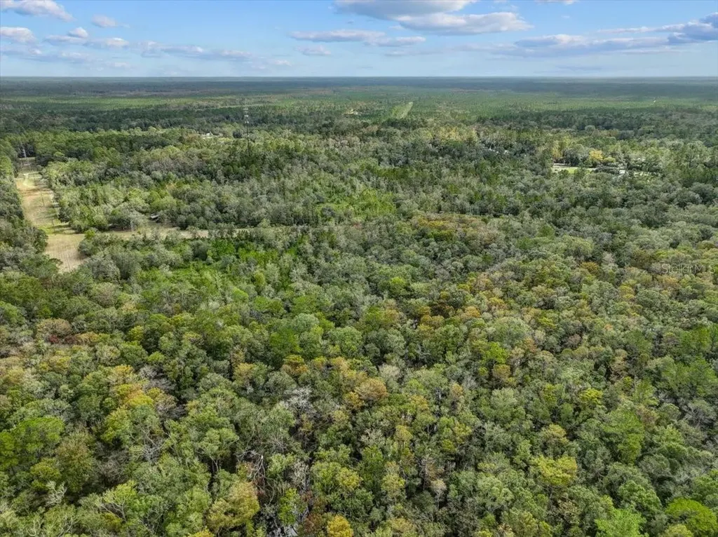 310 N Otter Creek Avenue Bronson FL 32621