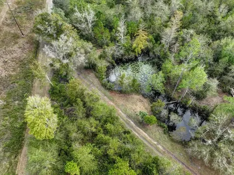 310 N Otter Creek Avenue Bronson FL 32621