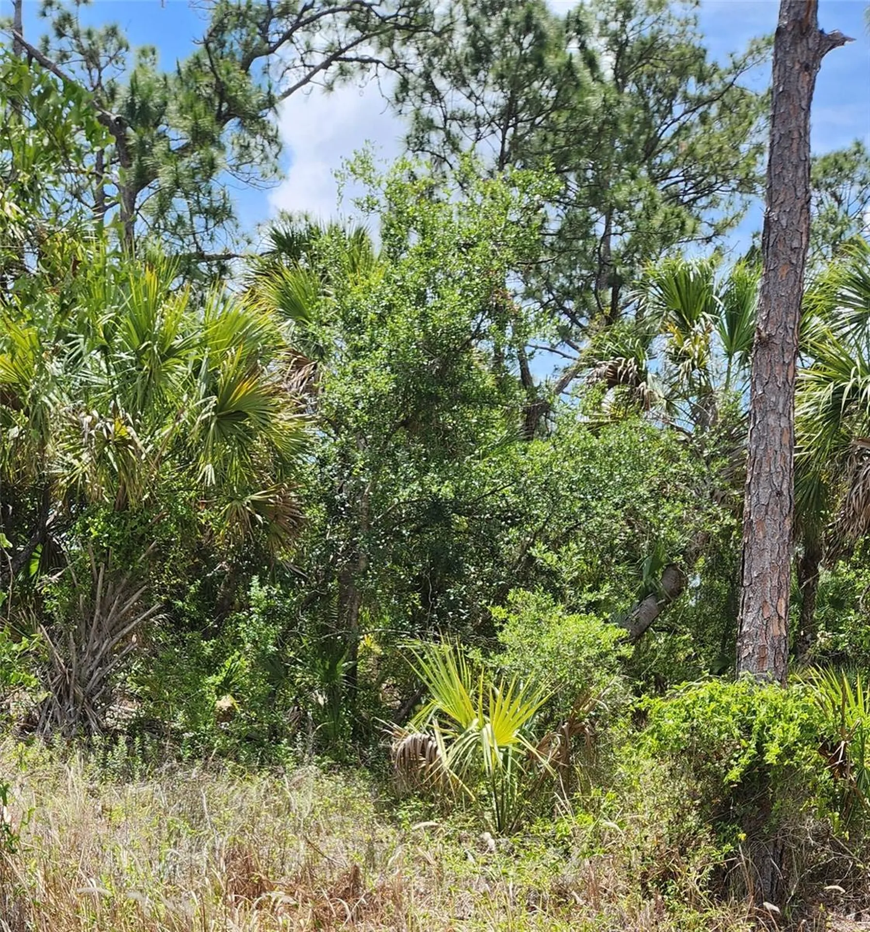 Inverness Street North Port FL 34288