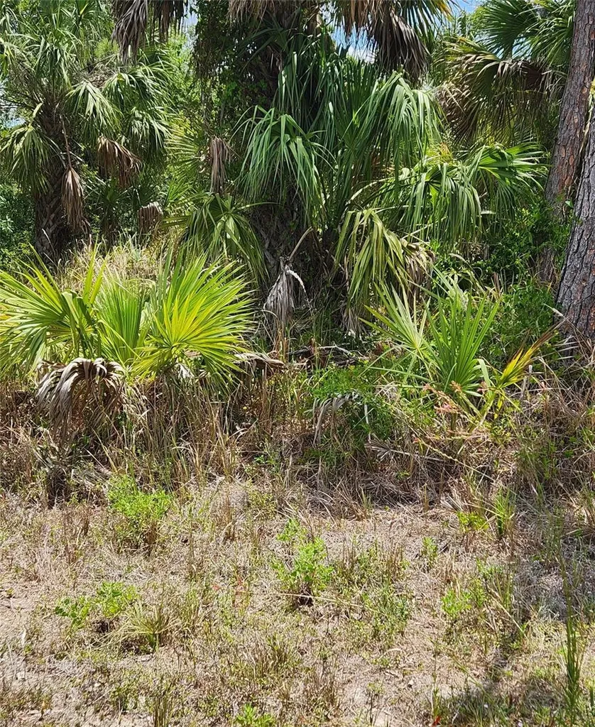 Inverness Street North Port FL 34288